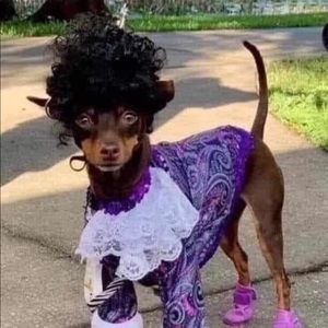 Meet your Posher, Jana